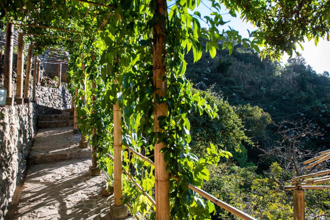 El Picnic Atitlan Hotel Tzununa Exterior photo